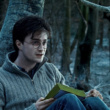 Did Voldemort Even Know About the Deathly Hallows?