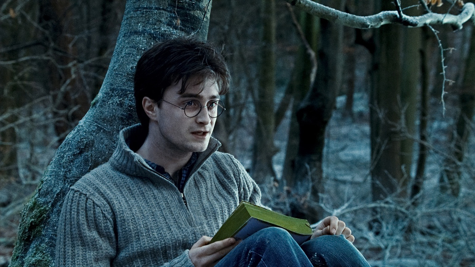 Did Voldemort Even Know About the Deathly Hallows?