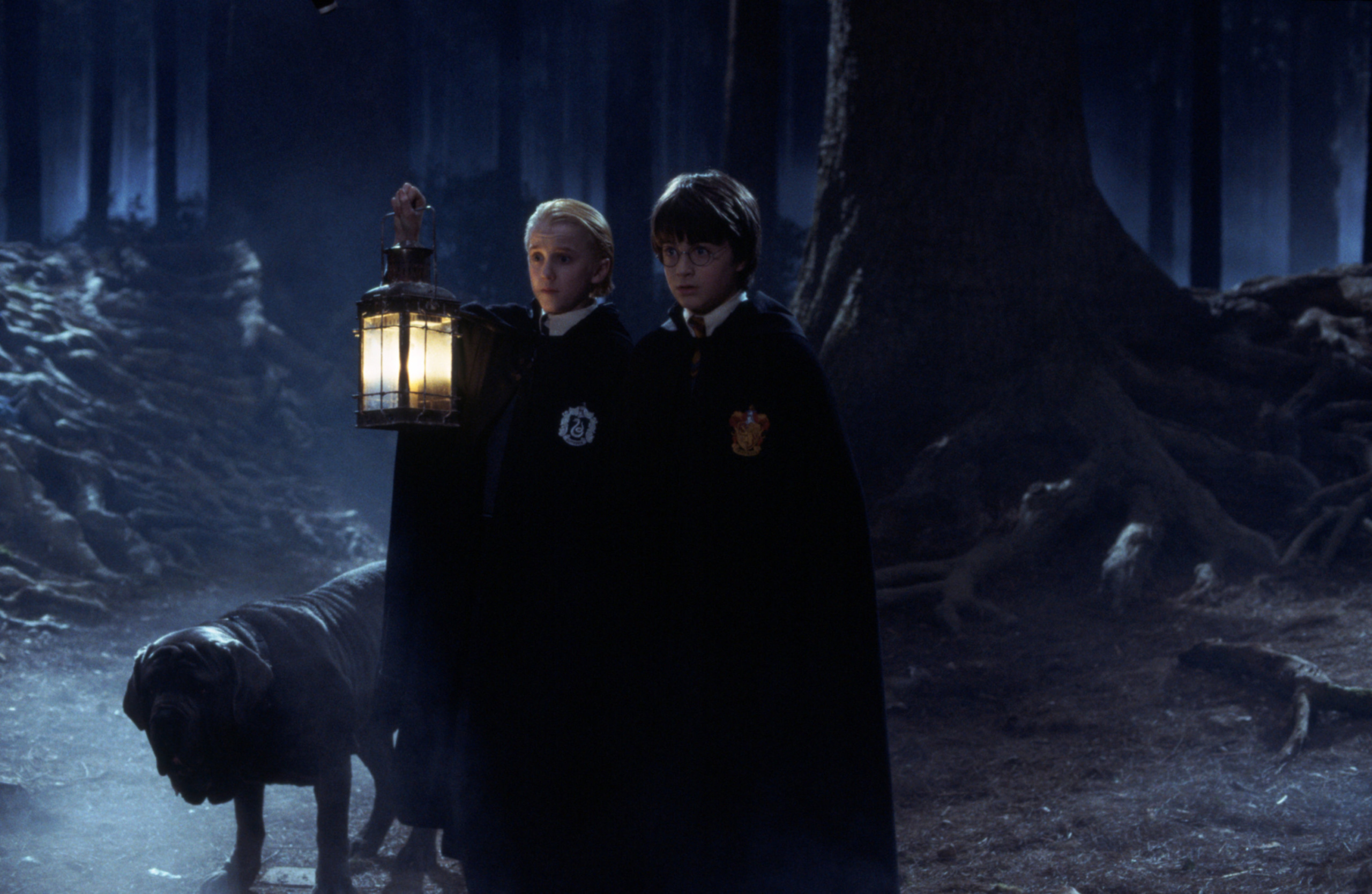 Why the Forbidden Forest Is More Important Than You Realize
