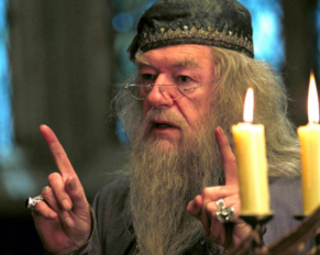 Why Didn't Dumbledore Destroy All of Voldemort's Horcruxes Himself?