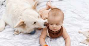 70+ Unique Twin Baby Boy Names in India: Modern Pairs With Meaning