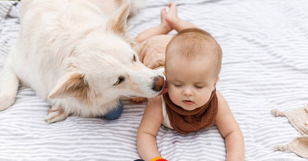 70+ Unique Twin Baby Boy Names in India: Modern Pairs With Meaning
